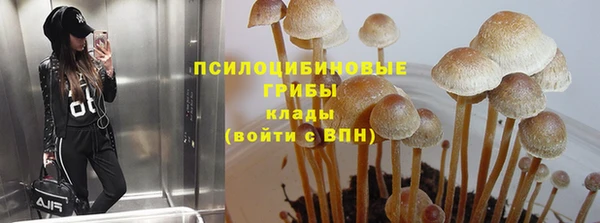мяу мяу кристалл Алексин