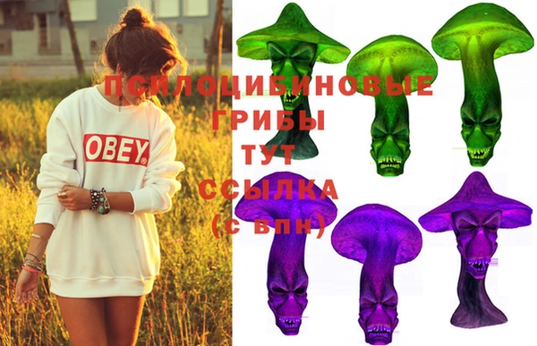 спиды Абинск