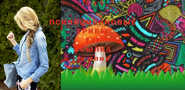 ПСИЛОЦИБИНОВЫЕ ГРИБЫ Абдулино