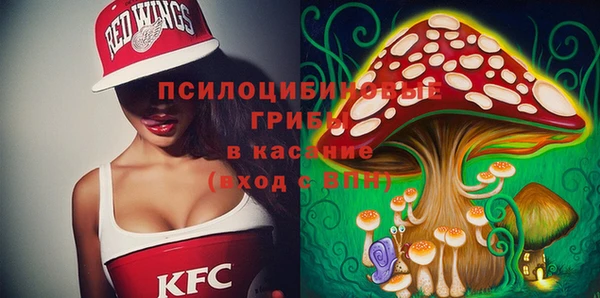ПСИЛОЦИБИНОВЫЕ ГРИБЫ Абдулино