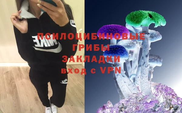 дживик Алексеевка