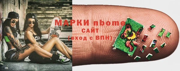 гашик Осинники