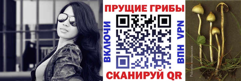 KRAKEN зеркало  как найти наркотики  Южа  Галлюциногенные грибы GOLDEN TEACHER 