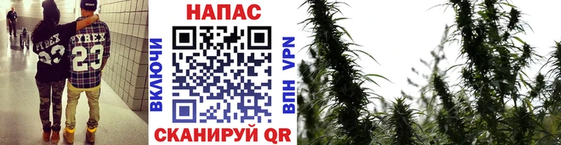закладки  Южа  Каннабис конопля 